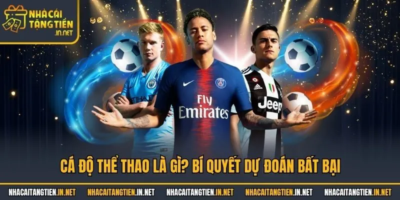 Cá Độ Thể Thao Là Gì? Chia Sẻ Bí Quyết Dự Đoán Bất Bại