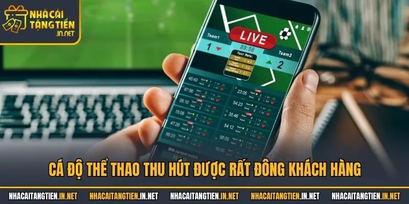 Cá độ thể thao thu hút được rất đông khách hàng