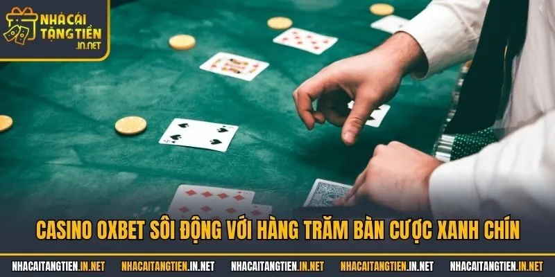 Casino OXbet sôi động với hàng trăm bàn cược xanh chín