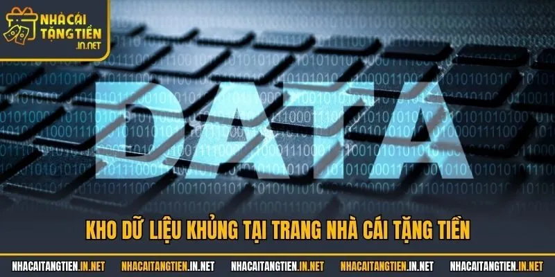 Kho dữ liệu khủng tại trang nhà cái tặng tiền
