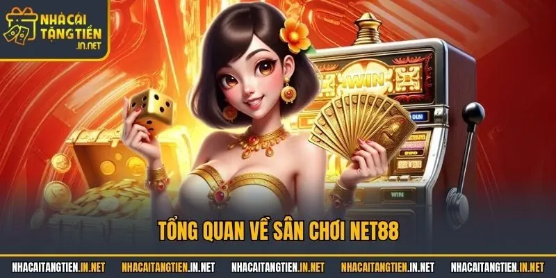 Tổng quan về sân chơi Net88